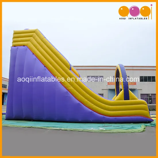 Giant Sport Game Children Toy Inflatable Slide with Arch (AQ1149-13)