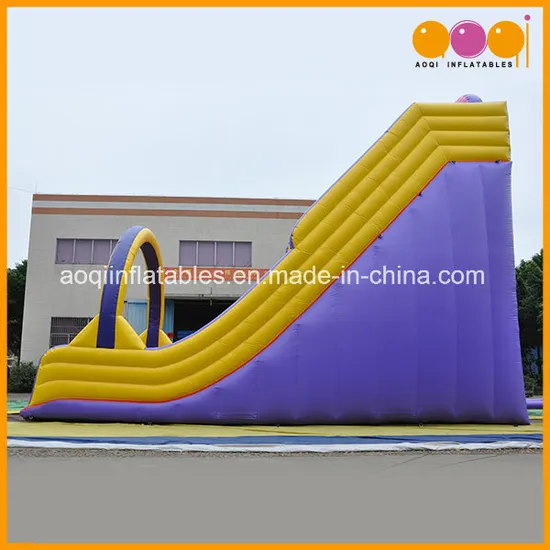 Giant Sport Game Children Toy Inflatable Slide with Arch (AQ1149-13)