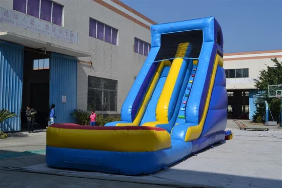 High Splash Inflatable Water Slide for Kid (AQ1068)