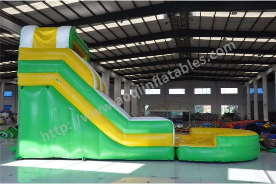 Hot Sale Hybrid Inflatable Water Slide with Pool (AQ10124)