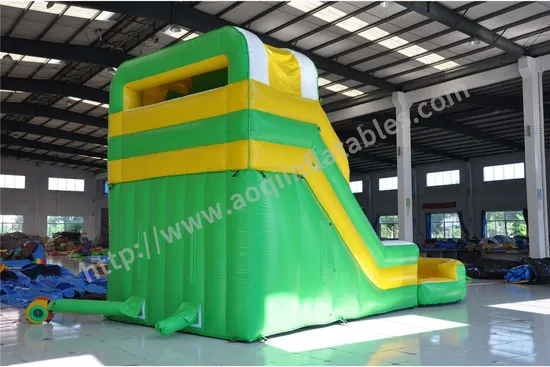 Hot Sale Hybrid Inflatable Water Slide with Pool (AQ10124)