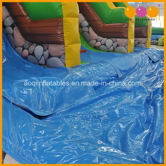 Indoor Water Park Animal Theme Dual Lanes Inflatable Water Slide (AQ01743)