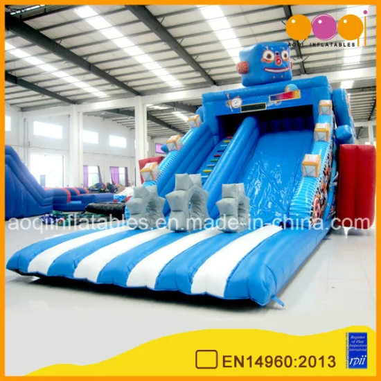 Inflatable Bouncer Inflatable Robert Water Slide for Sale (AQ0129)