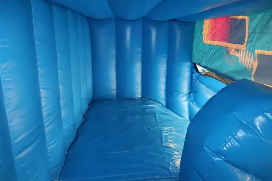 Inflatable Bouncer Inflatable Robert Water Slide for Sale (AQ0129)