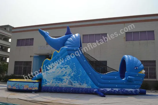 Inflatable Bouncer Slide with Water Pool Game (AQ139)