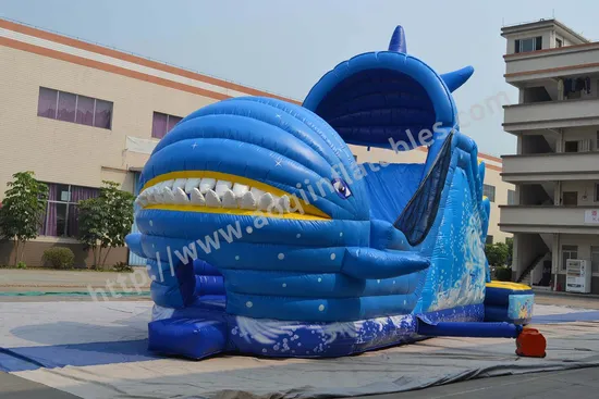 Inflatable Bouncer Slide with Water Pool Game (AQ139)