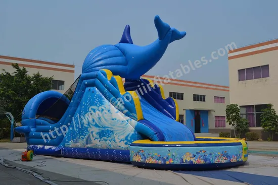 Inflatable Bouncer Slide with Water Pool Game (AQ139)