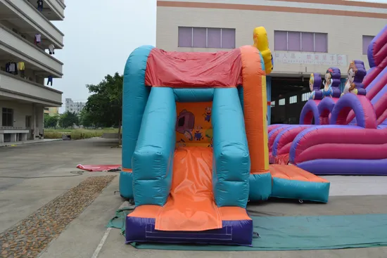 Inflatable Bouncy Castle Slide Toy (AQ07155)