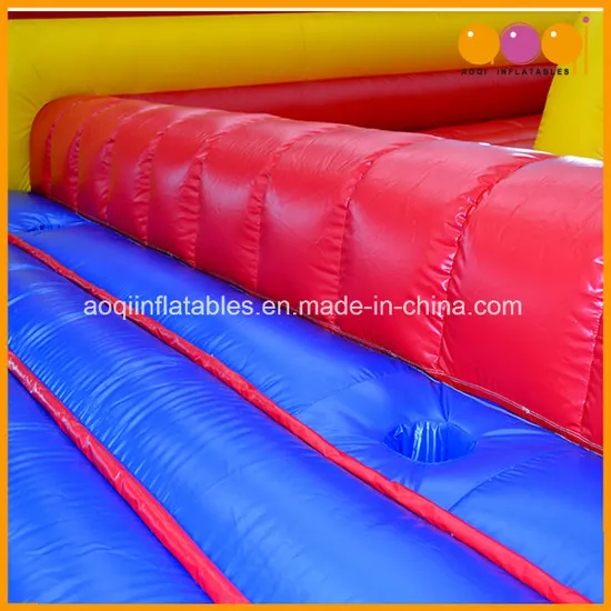 Inflatable Bouncy Slide Ladder Sport Game (AQ16247)