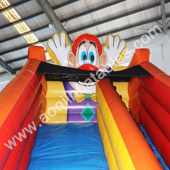 Inflatable Clown Theme Slide