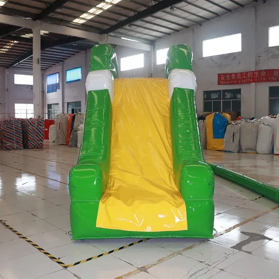 Inflatable Colorful Dinosaur Model Tunner (Aq2002)