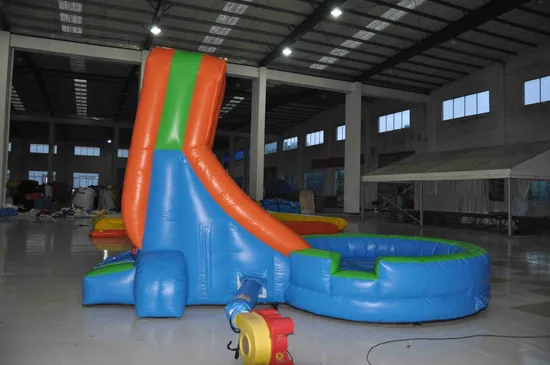 Inflatable Slides with Small Swimming Pool (AQ1063)