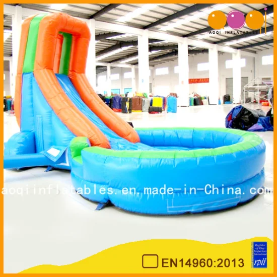 Inflatable Slides with Small Swimming Pool (AQ1063)