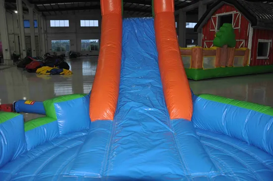 Inflatable Slides with Small Swimming Pool (AQ1063)