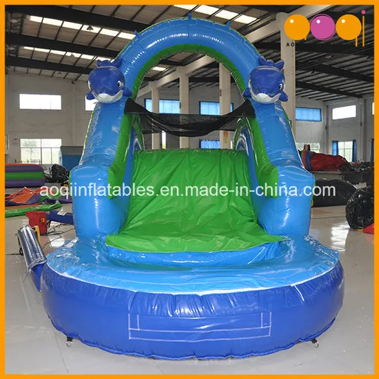 Inflatable Swimming Products Mini Water Slide with Pool (AQ1040)