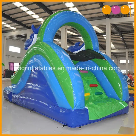 Inflatable Swimming Products Mini Water Slide with Pool (AQ1040)