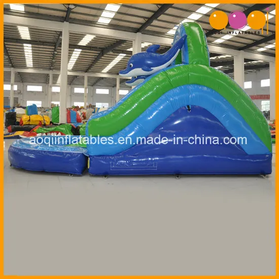 Inflatable Swimming Products Mini Water Slide with Pool (AQ1040)