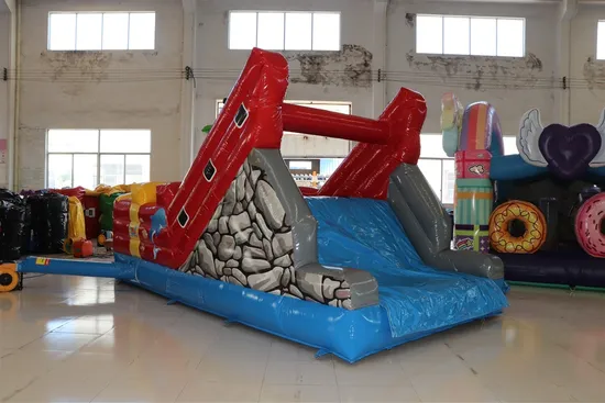 Low Price Custom Design Pirate Boat Inflatable (AQ1524)