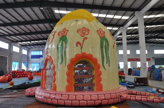 New Design Inflatable Dome Castle Bouncer (AQ02369)