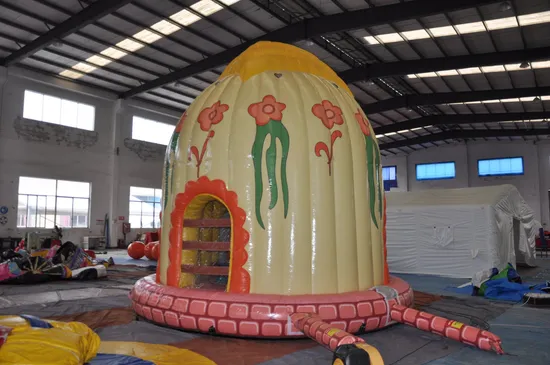 New Design Inflatable Dome Castle Bouncer (AQ02369)