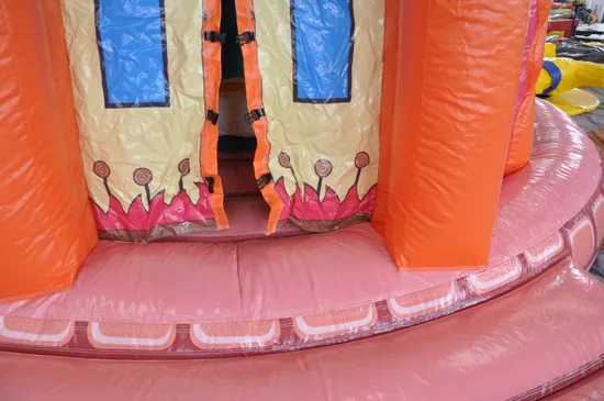 New Design Inflatable Dome Castle Bouncer (AQ02369)