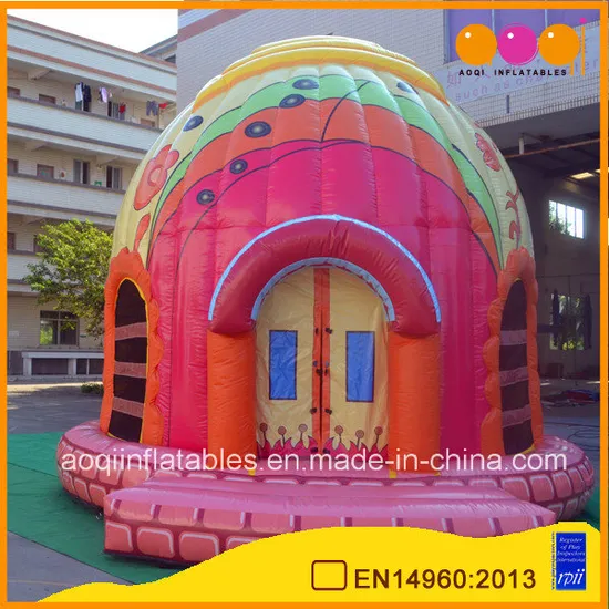 New Design Inflatable Dome Castle Bouncer (AQ02369)