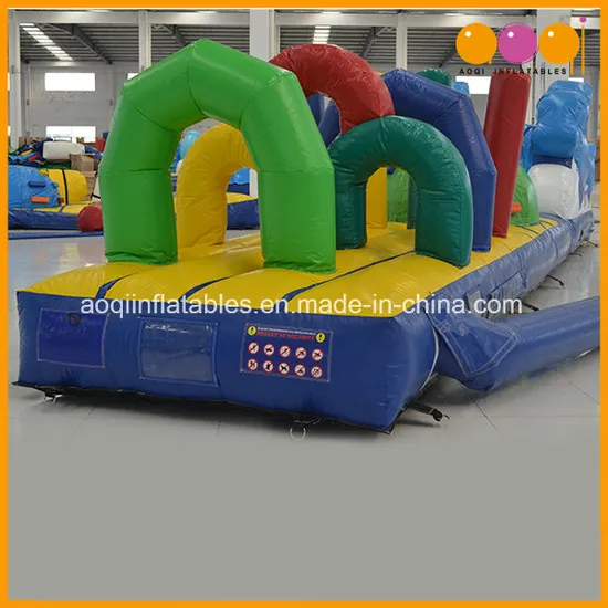 New Design Inflatable Porpoise Dolphin Inflatable Obstacle Course for Sale (AQ14138-1)