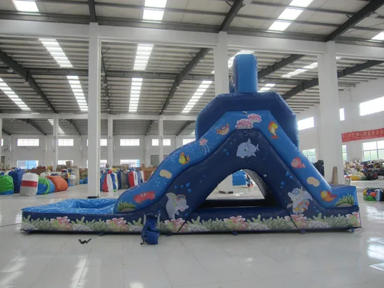 Ocean Fish Inflatable Water Slide (aq1078)