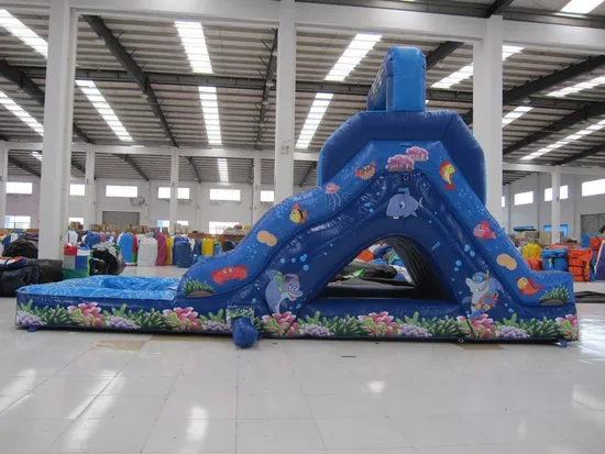 Ocean Fish Inflatable Water Slide (aq1078)