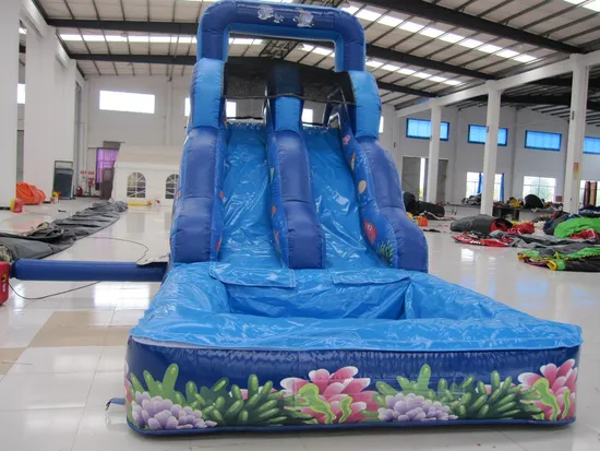 Ocean Fish Inflatable Water Slide (aq1078)