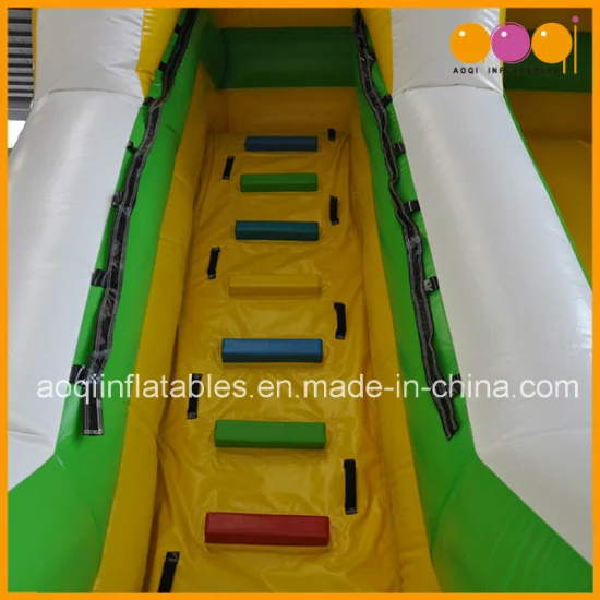 Outdoor Inflatable Water Slide with Pool for Kid (AQ1024)