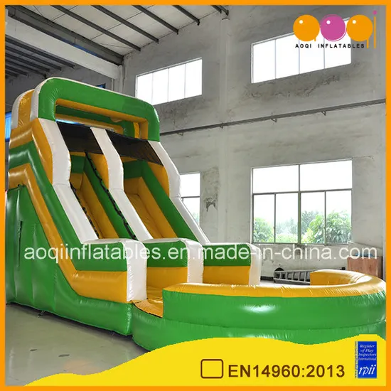 Outdoor Inflatable Water Slide with Pool for Kid (AQ1024)