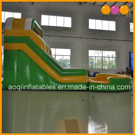 Outdoor Inflatable Water Slide with Pool for Kid (AQ1024)