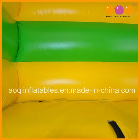 Outdoor Inflatable Water Slide with Pool for Kid (AQ1024)