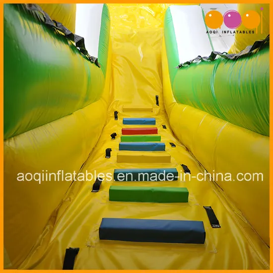 Outdoor Inflatable Water Slide with Pool for Kid (AQ1024)