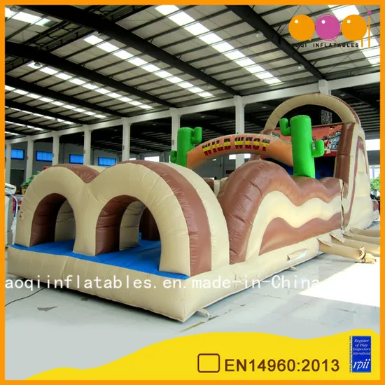 PVC Inflatable Obstacle Course Race Obstacle Course Challenge Indoor for Sale (AQ14128)