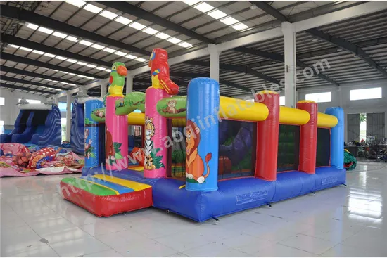 Parrot Most Popular Inflatable Fun City (AQ13187)