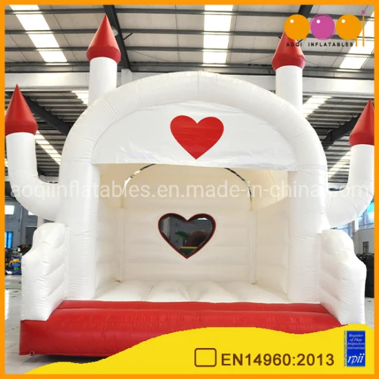 Popaular Hot Sell 2019 Hard Shape Inflatables Castles Bouncer (AQ519-13)