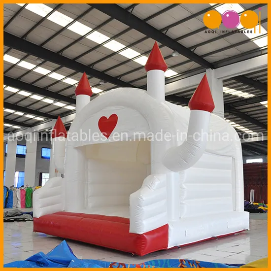 Popaular Hot Sell 2019 Hard Shape Inflatables Castles Bouncer (AQ519-13)