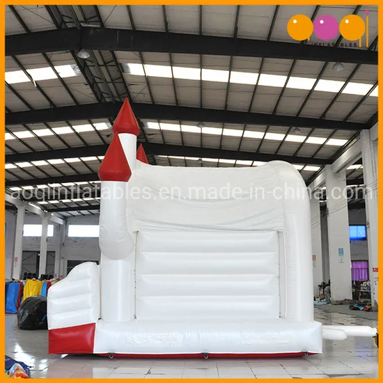 Popaular Hot Sell 2019 Hard Shape Inflatables Castles Bouncer (AQ519-13)