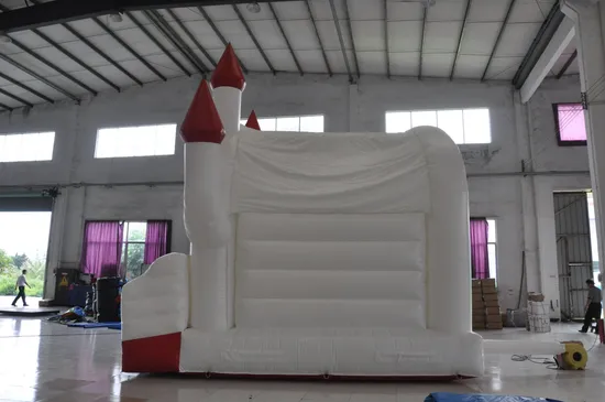 Popaular Hot Sell 2019 Hard Shape Inflatables Castles Bouncer (AQ519-13)