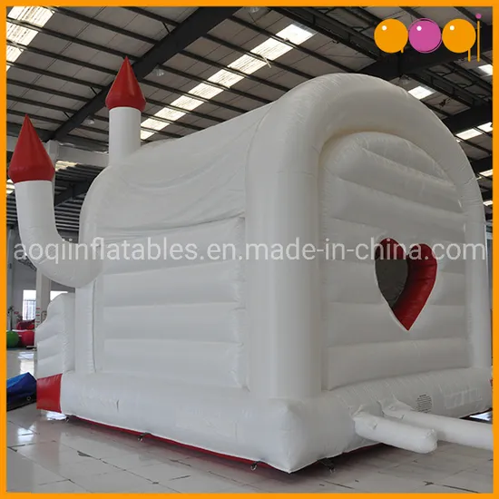 Popaular Hot Sell 2019 Hard Shape Inflatables Castles Bouncer (AQ519-13)