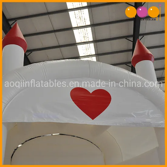 Popaular Hot Sell 2019 Hard Shape Inflatables Castles Bouncer (AQ519-13)