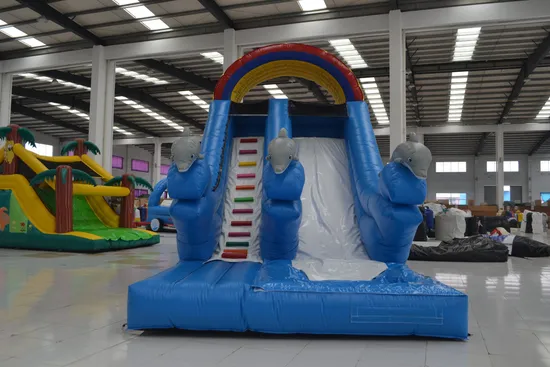 Rainbow Inflatable Water Slide (AQ1012)