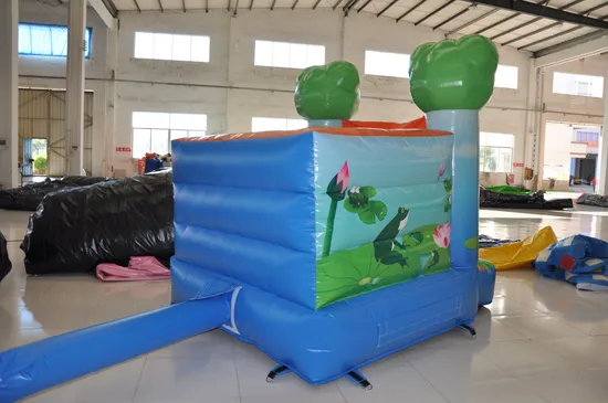 Small Jump Inflatable Frog Combo Bouncer for Sale (AQ2384)