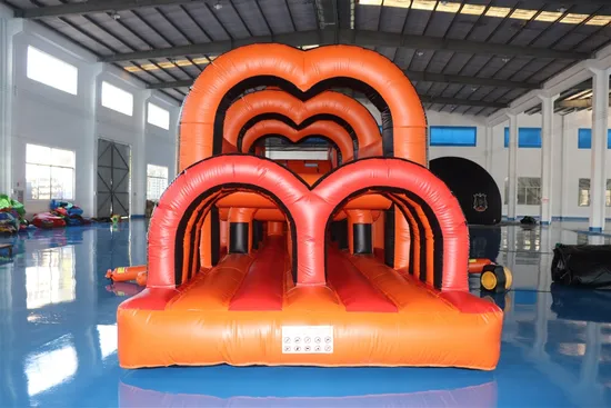 Team Building Inflatable Game Inflatable Obstacle Course (AQ14222)