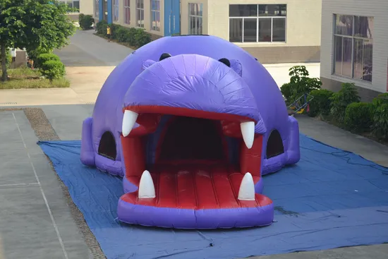 Vivid Hippo Inflatable Jumping Bounce (AQ02309)