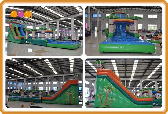 Water Park Giant Inflatable Slip and Slide Water Slide with Pool