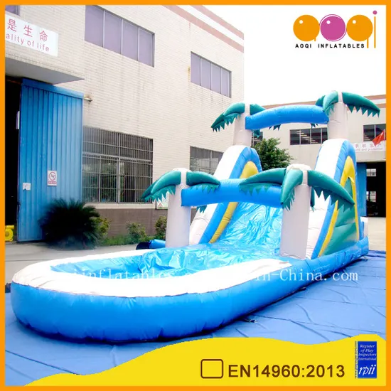 Wet and Dry Inflatable Slides (AQ1003-2)