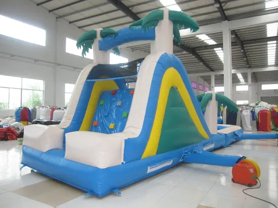 Wet and Dry Inflatable Slides (AQ1003-2)